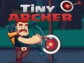 게임 Tiny Archer