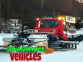 게임 Snow Groomer Vehicles