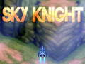 게임 Sky Knight 