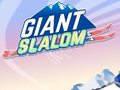 게임 Giant Slalom