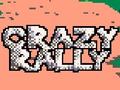 게임 Crazy Rally