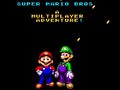 게임 Super Mario Bros: A Multiplayer Adventure