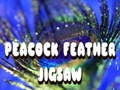 게임 Peacock Feather Jigsaw
