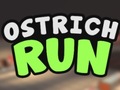 게임 Ostrich Run