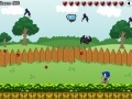 게임 Sonic In Garden