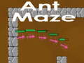 게임 Ant maze