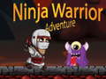 게임 Ninja Warrior Adventure