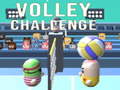 게임 Volley Challenge