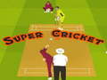 게임 Super Cricket 