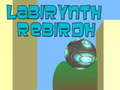 게임 Labirynth Rebirdh