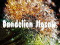 게임 Dandelion Jigsaw