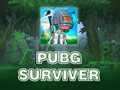 게임 PUBG Surviver