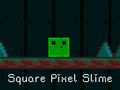 게임 Square Pixel Slime