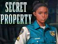 게임 Secret property