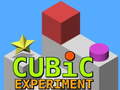 게임 Cubic Experiment