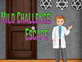 게임 Amgel Mild Challenge Escape