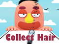 게임 Collect Hair