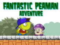 게임 Fantastic Peaman Adventure 