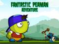 게임 Fantastic Peaman Adventure