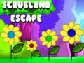 게임 Scrubland Escape