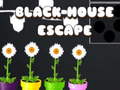 게임 Black House Escape