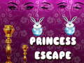 게임 Princess Escape