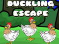 게임 Duckling Escape