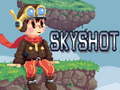 게임 Skyshot