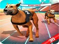 게임 Crazy Dog Race