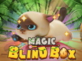 게임 Magic Blind Box