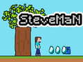 게임 Steveman