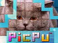 게임 PicPu Cat 