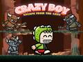 게임 Crazy Boy Escape From The Cave