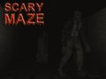 게임 Scary Maze