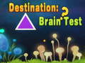 게임 Destination: Brain Test