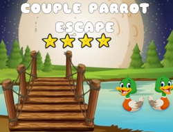 커플 앵무새 탈출 