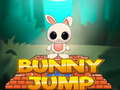 게임 Bunny Jump