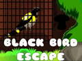 게임 Black Bird Escape