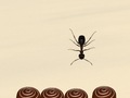 게임 Smash All Ants