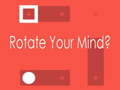 게임 Rotate Your Mind?