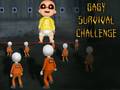 게임 Baby Survival Challenge