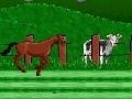 게임 Horse races
