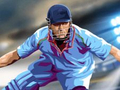 게임 Cricket 2022