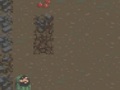 게임 The Survival