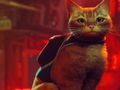 게임 Stray
