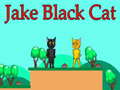 게임 Jake Black Cat