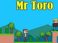 게임 Mr Toro