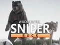 게임 Wild Hunter sniper buck