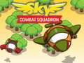 게임 Sky Combat Squardom