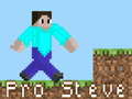 게임 Pro Steve